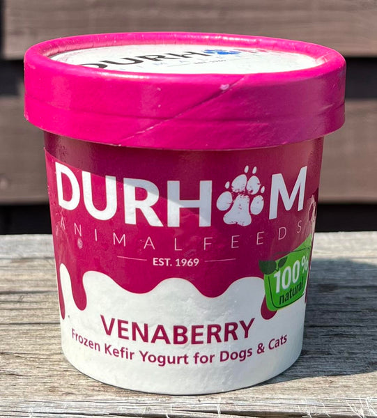 Kefir yogurt best sale for dogs